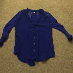 Blue formal button down blouse.